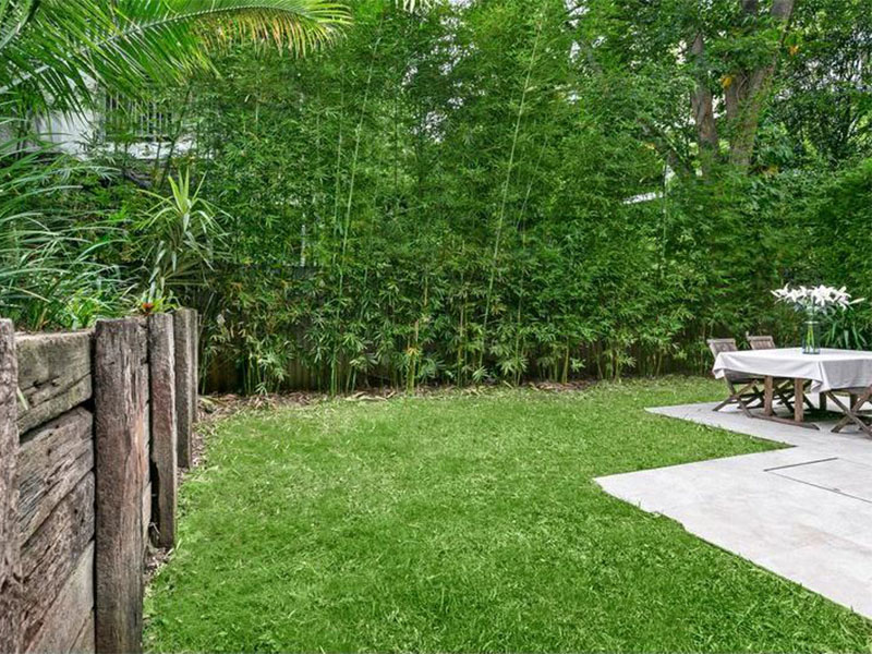 Home Buyer in Mosman, Sydney - Garden