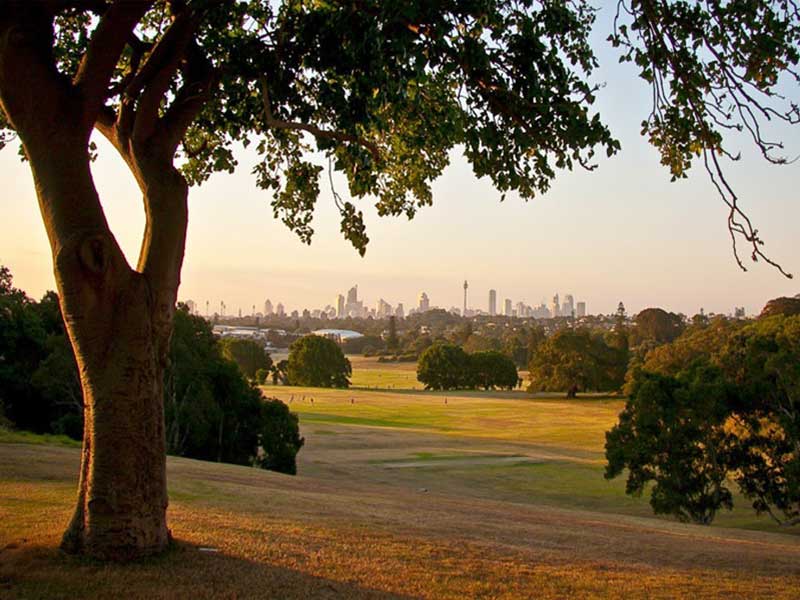 Buyers Agent Purchase in Gilderthorpe Ave, Randwick - Outside View