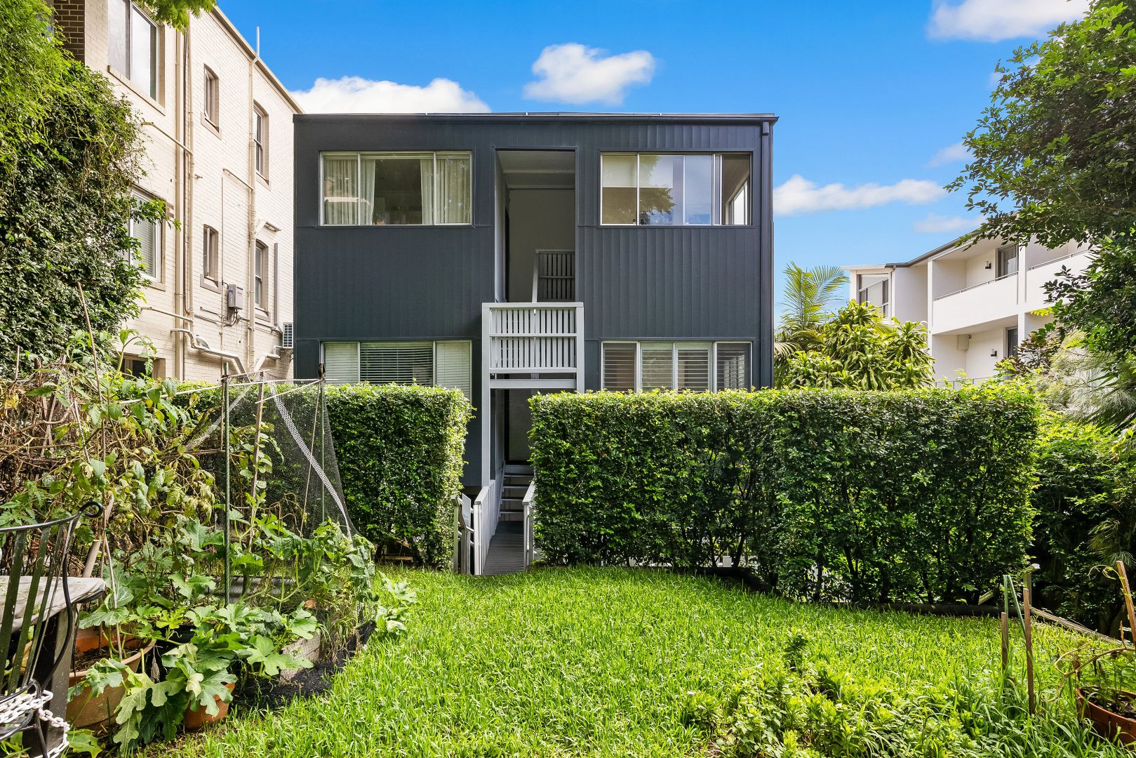 Home Buyer in Alexander St, Coogee, Sydney - Garden