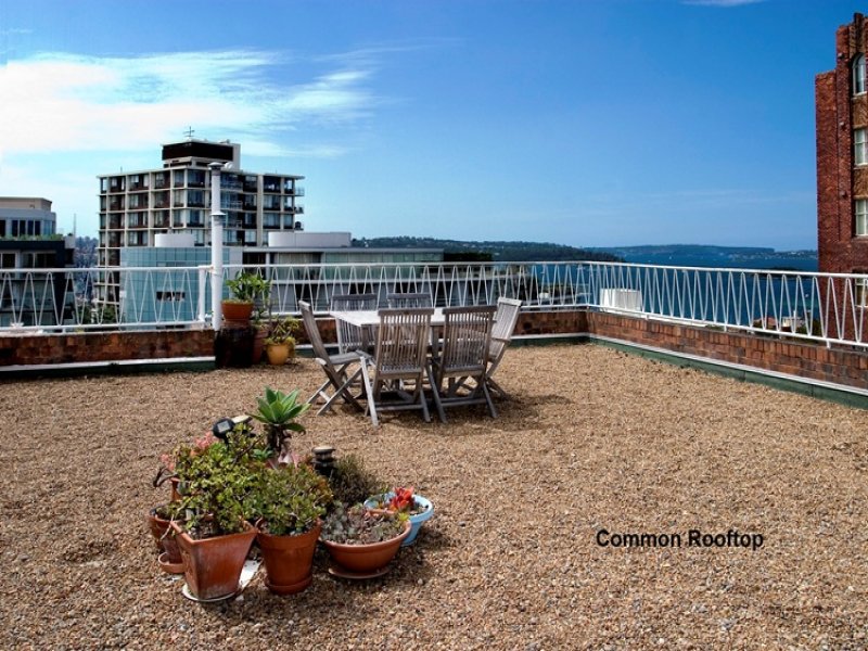 Home Buyer in Birtley Elizabeth Bay, Sydney - Rooftop