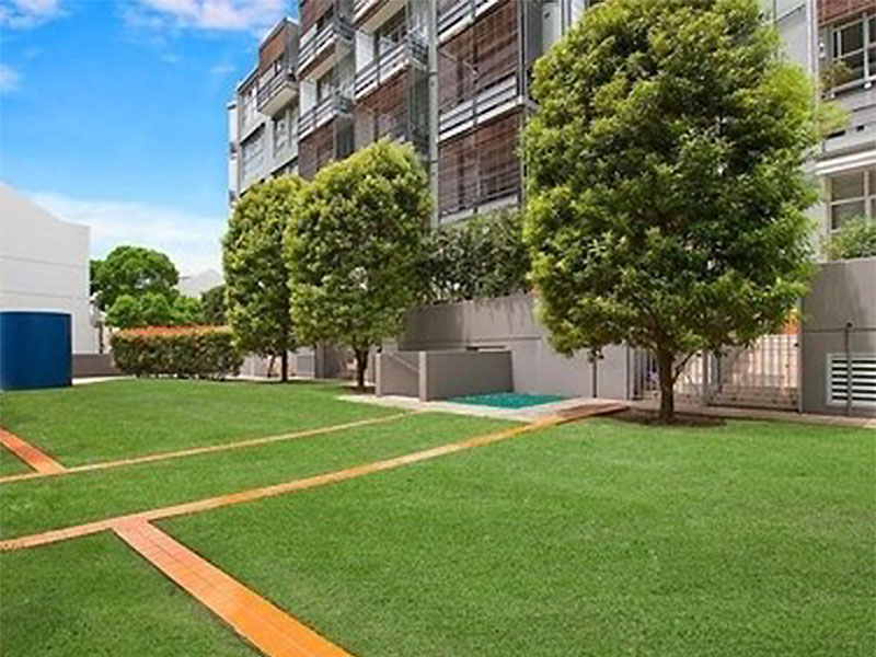 Home Buyer in Paddington, Sydney - Courtyard
