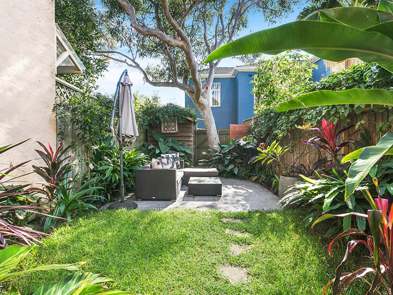 Buyers Agent Purchase in Clovelly, Sydney - Garden