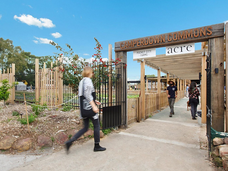 Buyers Agent Purchase in Camperdown, Sydney - Location Shot