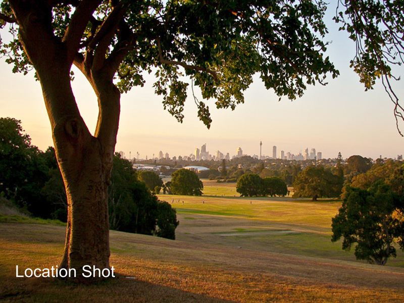 Buyers Agent Purchase in Randwick, Sydney - Park