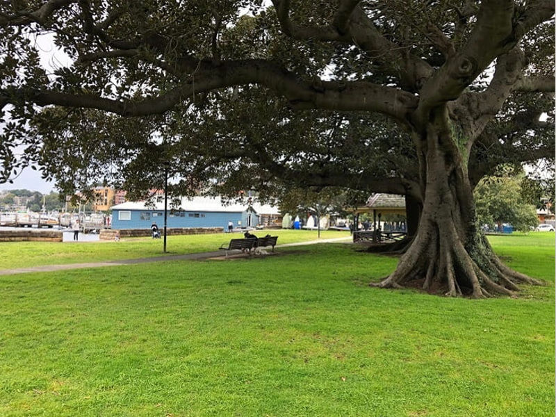 Investment Property in Double Bay, Sydney - Location Shot