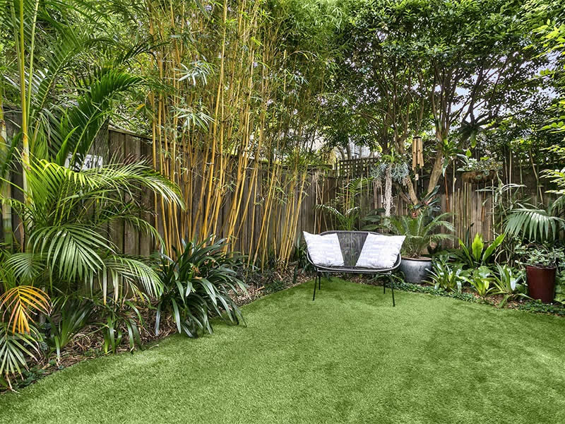 Buyers Agent Purchase in Bondi Junction, Sydney - Garden
