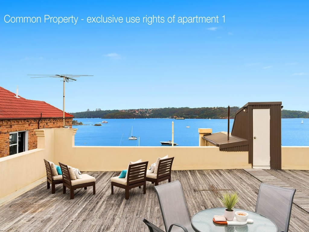 Buyers Agent Purchase in Vaucluse, Sydney - Rooftop Terrace