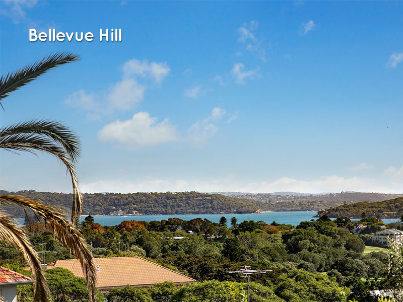 Bellevue Hill Home Buyers-view