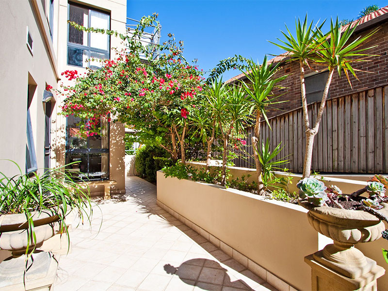 eastern suburbs courtyard apartment-courtyard