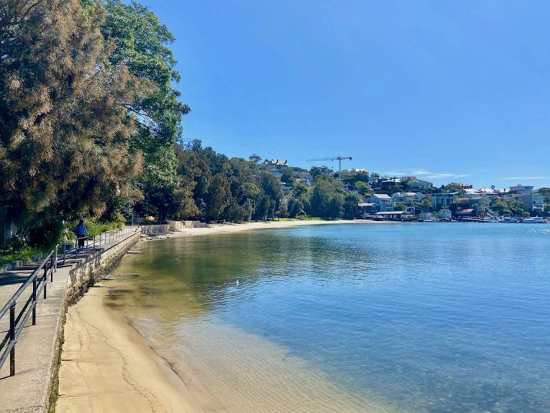 Buyers Agent Purchase Rose Bay Buyer-view