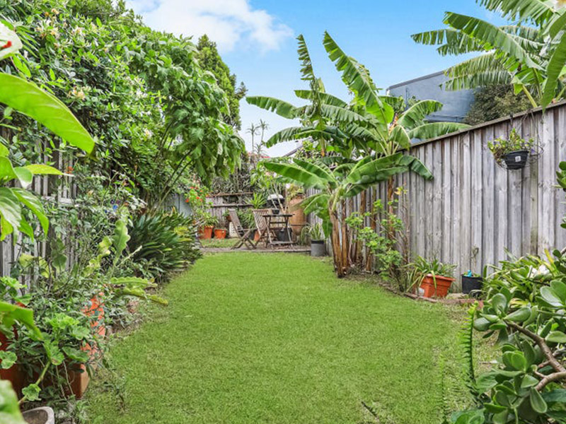 buyers agent purchase clovelly eastern suburbs-yard